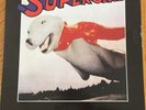 DJ Qbert Super Seal Battle Record Skratchy Seql Vinyl Dirtstyle Rap Rare