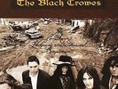 The Black Crowes The Southern Harmony And Musical Companion  (Vinyl) (UK IMPORT)