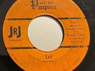 PRIVATE 1965 MN Garage Rock 45 - PRINCE & PAUPERS 