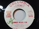 Surf Bruce & Terry Summer Means Fun / Yeah  Columbia 4-43055 1964 WLP