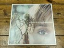 Melissa Etheridge Breakdown LP 12 in Vinyl w/ Bonus 7 in Vinyl NM