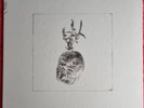 Pixies. Beneath The Eyrie. Super Rare Box Set. Unplayed.
