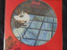 THE SKIDS Scared To Dance 2016 PICTURE DISC Vinyl Album Record Limited Edition