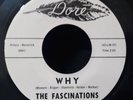 The Fascinations Why bw If I Had Your Love Doo Wop 45 rpm Dore Lbl Gary Paxton