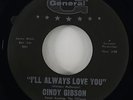 Cindy Gibson 
