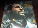 MARVIN GAYE WHAT'S GOING ON VINILE LP PRIMA STAMPA AMERICANA 1971 NM - TS310