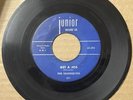 Silhouettes 1957 DOOWOP 45 Get A Job / I Am Lonely JUNIOR Blue Color VG+ HEAR