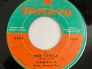 ARMONIA - Piel Canela - SALSA PANAMA 45