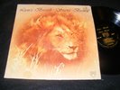Private CHRISTIAN Folk Rock LP STEVE BROWN Lion's Breath 1976 Daybreak Records