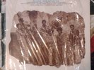 The South Side Movement - Southside Movement LP - 1973 - Wand WDS695 - EX Shrink