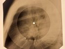 Creedence Clearwater Revival - My Baby Left Me X-RAY BONES RECORDS USSR 1