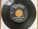 The Zircons Surfing in the Sunset/ Going Places Bagdad 45RPM Rare Record SR-1007