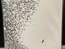 Sky Blue Sky by Wilco (Record, 2007) Fantastic Condition LP