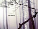 Rarität - Trentemöller ‎– The Last Resort - Poker Flat ‎– Neu - Bonobo - Burial
