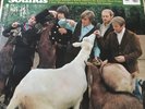 THE BEACH BOYS PET SOUNDS 1ST PRESS 1966 UK VINYL LP CAPITOL RAINBOW MONO