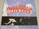 Hatebreed  Satisfaction is the Death of Desire  CLEAR VINYL   NEW