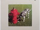 RUSH SIGNALS RECORD LP VINYL ALBUM 200g 2015 FACTORY SEALED WITH STICKER