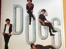 DOGS:Legendary Lovers, pressage original 1983,Epic.Bon état