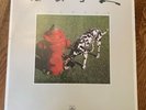 Rush Signals LP Vinyl SRM-1-4063 Polygram Records 1982 First Pressing VG+