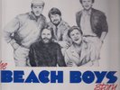 The Beach Boys-The Spirit Of America The Beach Boys Story 3LP