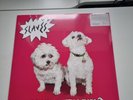 Slaves Are You Satisfied Vinyl LP Mint Sealed 2015