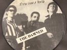 Q13 *VERY RARE* SPANISH - The Damned New Rose/Help Picture Disc - Official 2001