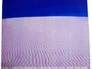 The Desert Sessions Volume 1 - Instrumental Driving Music For Felons Vinyl