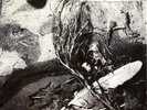 David Sylvian Secrets Of The Beehive Virgin Vinyl LP