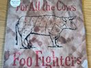 Foo Fighters / For All The Cows 7