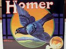 Very Rare Rock / Psych LP - Homer - Grown In U.S.A. - NEW SEALED