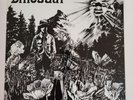 Dinosaur Vinyl Homestead HMS 015 (Dinosaur Jr first album-original, 1985)