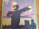Sonic Youth - Bad Moon (1985) [Blast First - Homestead Rare LP Vinyl Record]