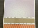 Streetlight Manifesto Somewhere In The Between LP 12” Vinyl Record New Sealed