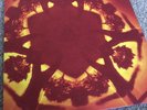 Boards Of Canada - Geogaddi Vinyl