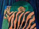 Tiger Army Green Vinyl