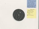 The Beach Boys, L.A. (Light Album) Sampler 33rpm Lacquer