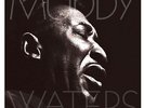 Waters,Muddy Mannish Boy:Best of (Vinyl)