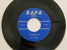 THE SHADES  NEW  YORK GARAGE BAND RAPA RECORDS 45RPM SINGLE  7