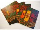 Glass Animals ‎– Leaflings rare vinyl lp  EP