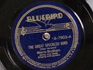 Morris Brothers BLUEBIRD 7903 E/E+ 
