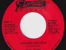 SHO-NUFF Hold On For Love RARE modern soul 45 synth boogie disco funk LISTEN