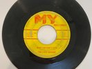 THE LIGHT BRIGADE ARKANSAS PSYCH  GARAGE 45RPM  7
