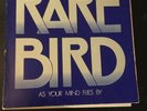 Rare Bird - As Your Mind Flies By VINYL LP