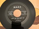 Kenny and the Kasuals Don't Let Your Baby Go RARE Garage 45 Mark Records