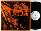 Christopher - What'cha Gonna Do LP - Chris-Tee - Rare Private Psych