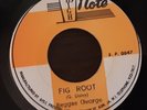 Fig Root - Reggae George