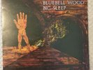 BIG SLEEP - BLUEBELL WOOD - PEGASUS UK 1971 V.RARE ORIGINAL - DARK PROGRESSIVE