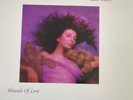 Kate Bush Hounds Of Love  limited edition audio fidelity #  gray vinyl