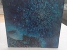 Love - Out Here (2xLP, Album) (Harvest) SHDW 3/4 VG+/VG+