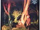 Echo And The Bunnymen - Crocodiles - 180g Remastered Vinyl - (New / Sealed)